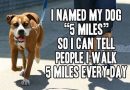 I Walk My Dog "5 Miles"
