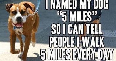 I Walk My Dog "5 Miles"