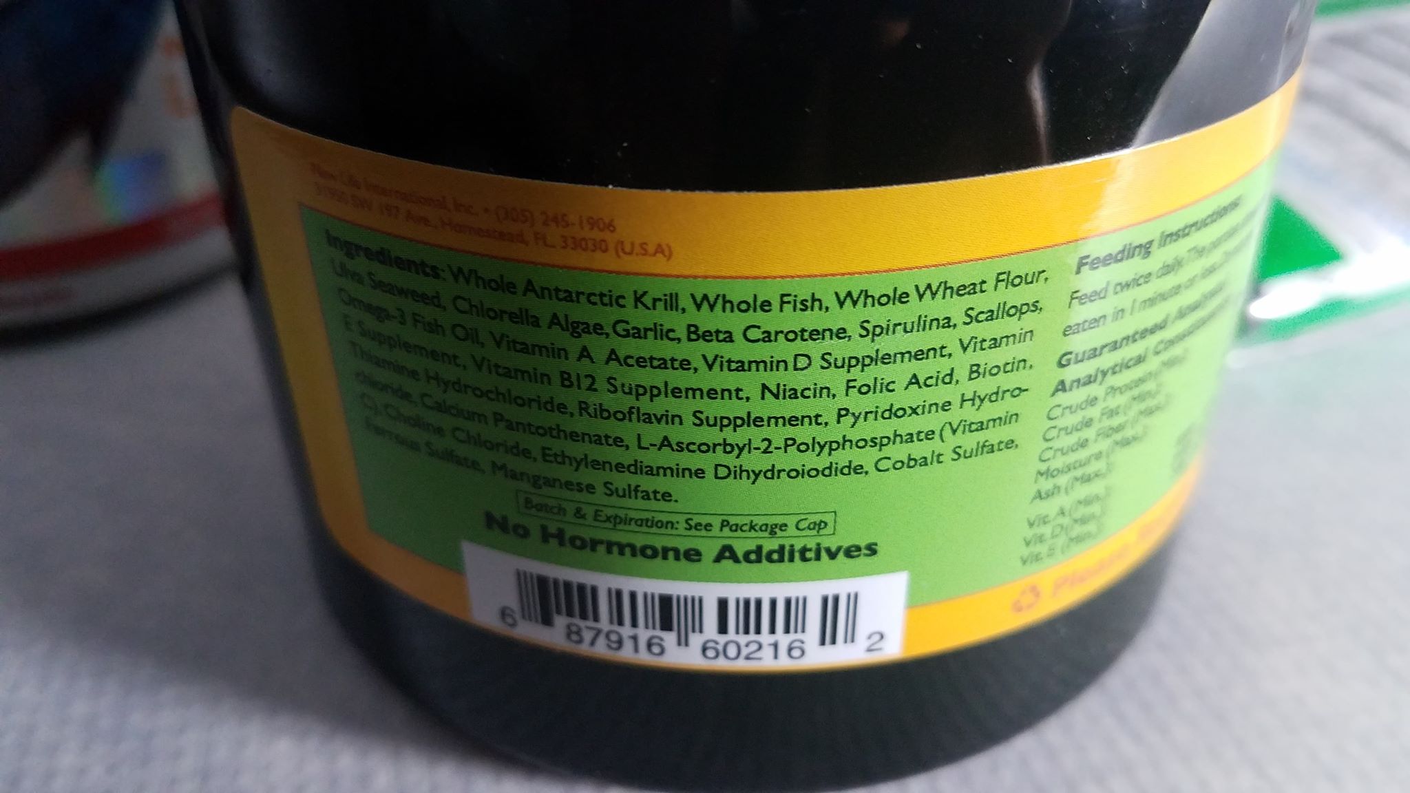 Aquarium Fish Food Tips