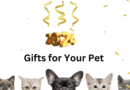 Did You Remember Your Pets This Holiday Season?  Then Get Them Something for the New Year!