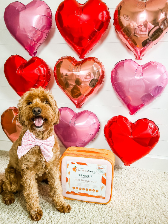 22c60dda337a4f442284a08727aaa1e0